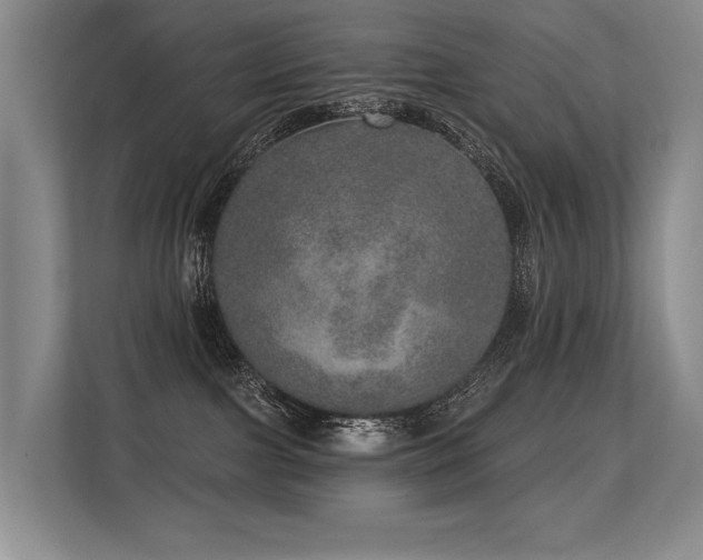 X0000113630091200909181525