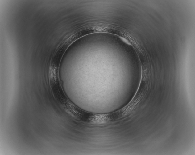 X0000113630093200909181525