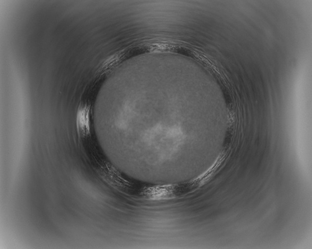 X0000113630094200909181525