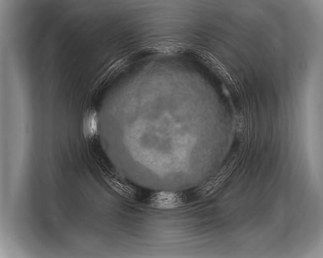X0000113630095200909181525