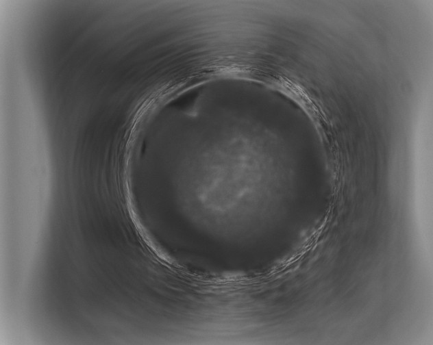 X0000113630097200909181524