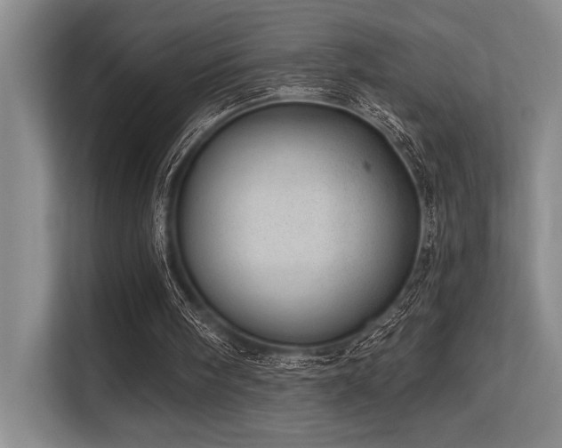 X0000113630098200909181524