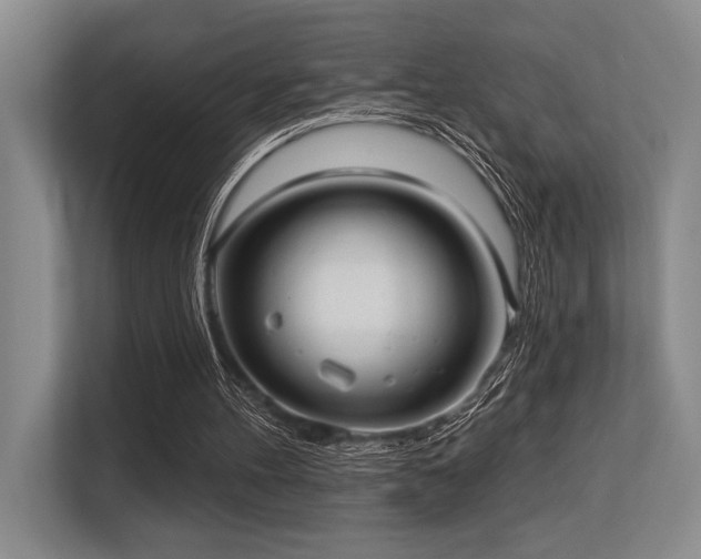 X0000113630100200909181524