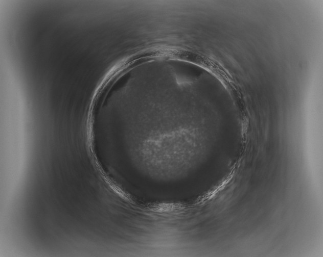 X0000113630101200909181524