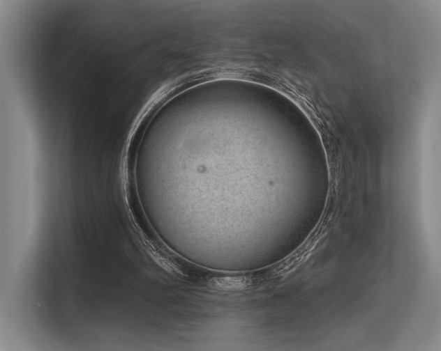 X0000113630102200909181524