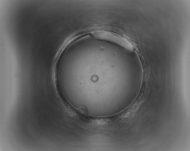X0000113630103200909181524