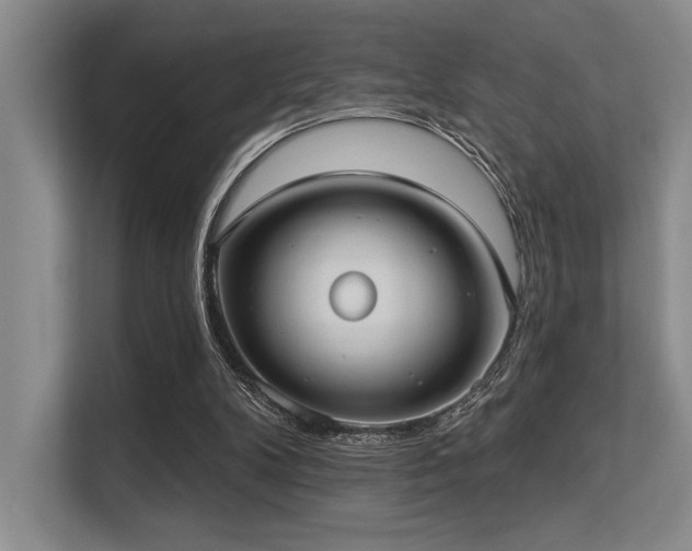X0000113630104200909181524