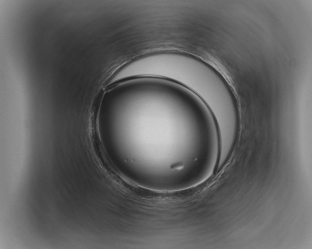 X0000113630105200909181524