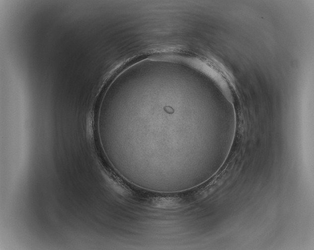 X0000113630107200909181524