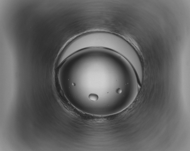 X0000113630108200909181524