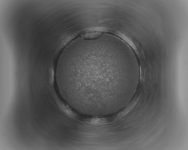 X0000113630109200909181524
