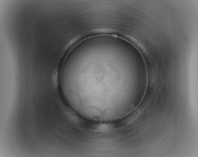 X0000113630111200909181524
