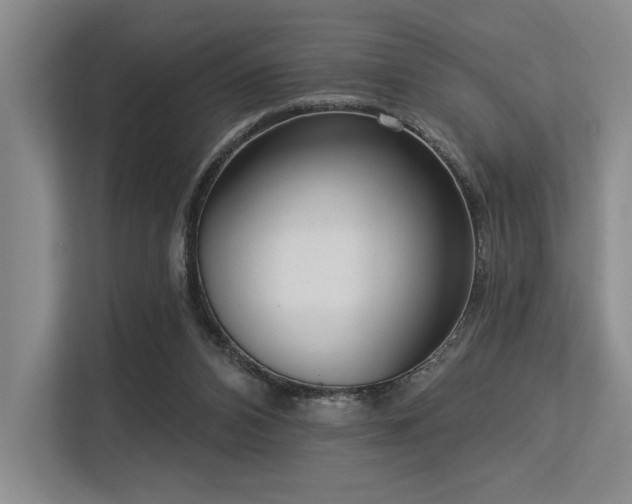 X0000113630112200909181524