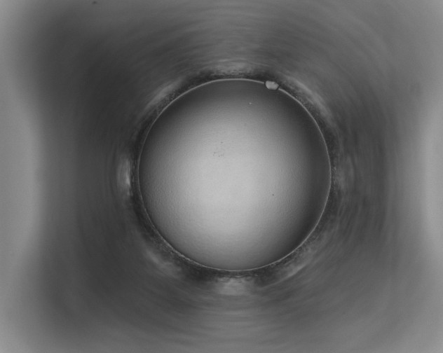 X0000113630115200909181524
