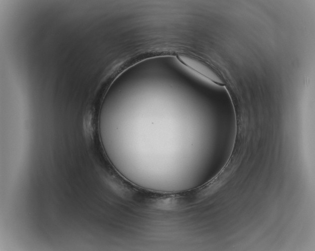 X0000113630116200909181524
