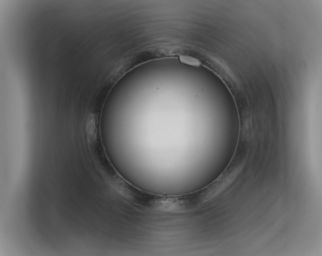 X0000113630121200909181524