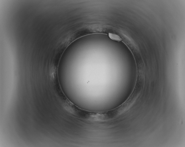 X0000113630125200909181524