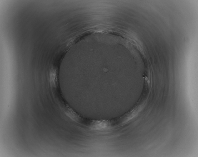 X0000113630127200909181524