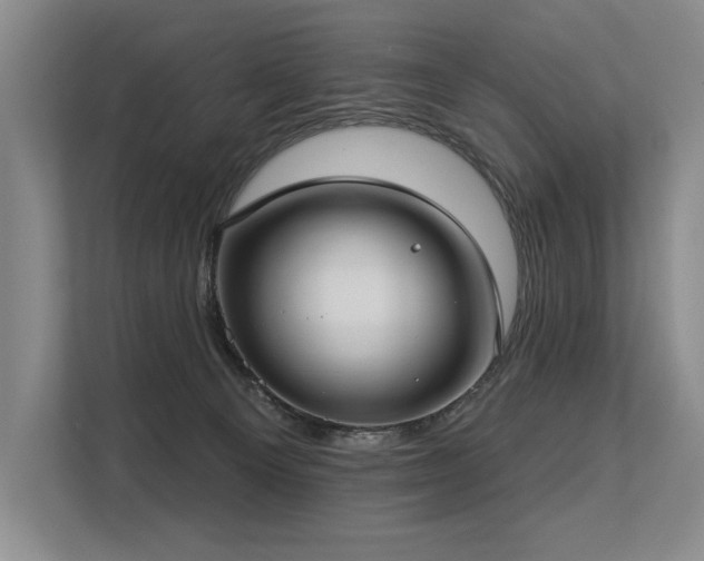 X0000113630129200909181524