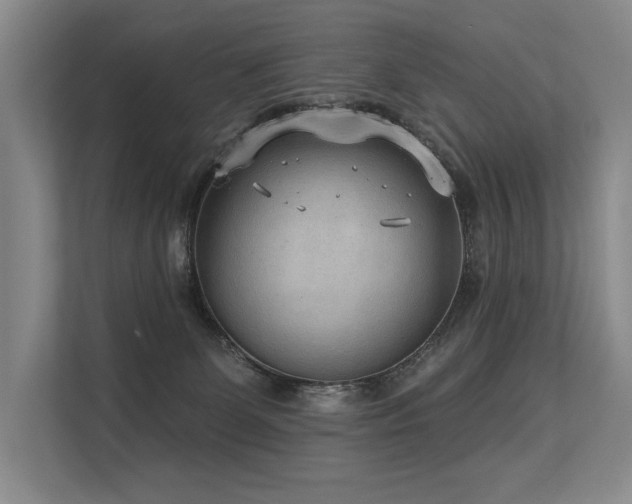 X0000113630131200909181524