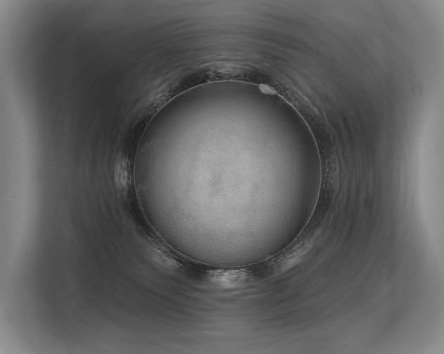 X0000113630135200909181524