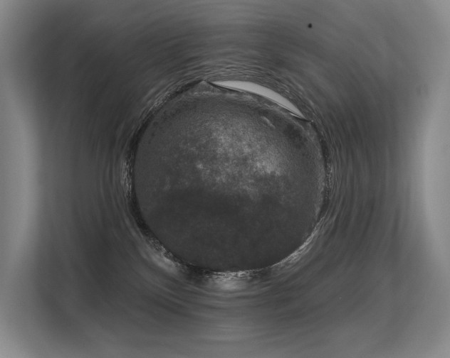 X0000113630136200909181524