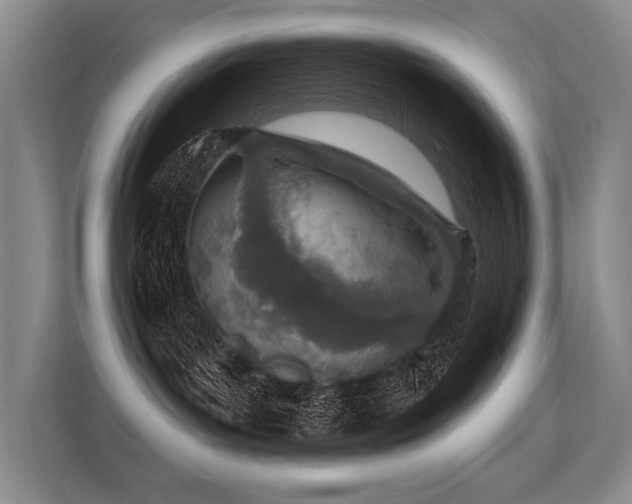 X0000113630143200909181524