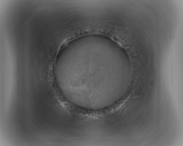 X0000113630144200909181524