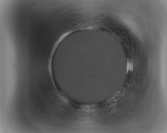 X0000113630147200909181523