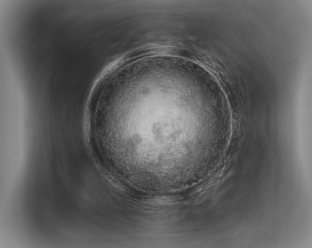 X0000113630149200909181523