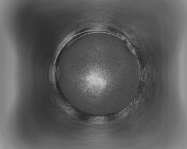 X0000113630152200909181523