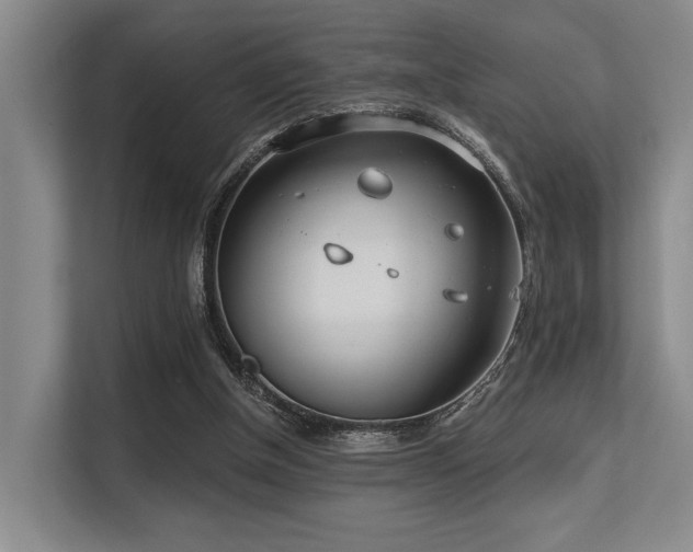 X0000113630154200909181523