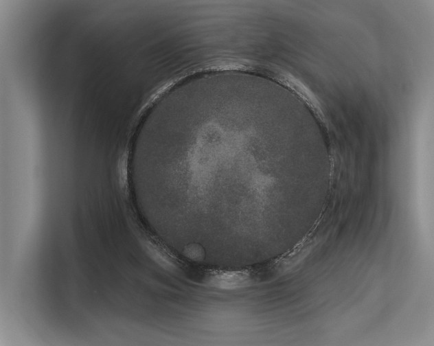 X0000113630155200909181523