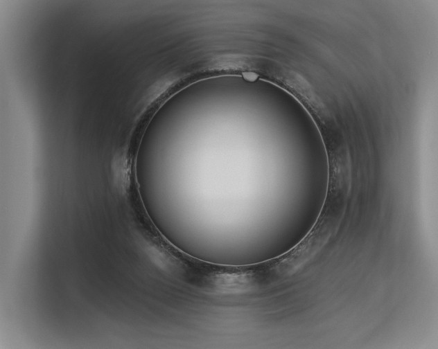 X0000113630160200909181523