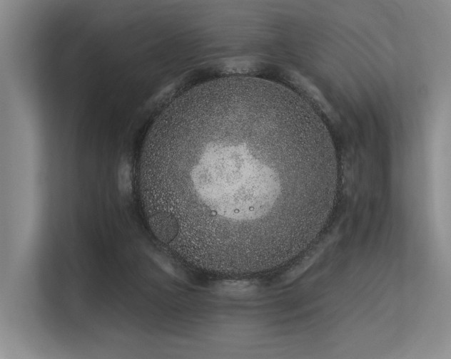 X0000113630161200909181523