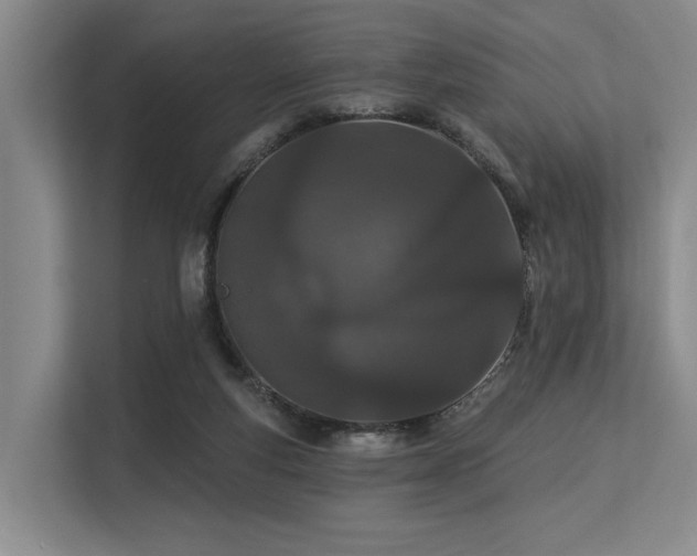 X0000113630163200909181523