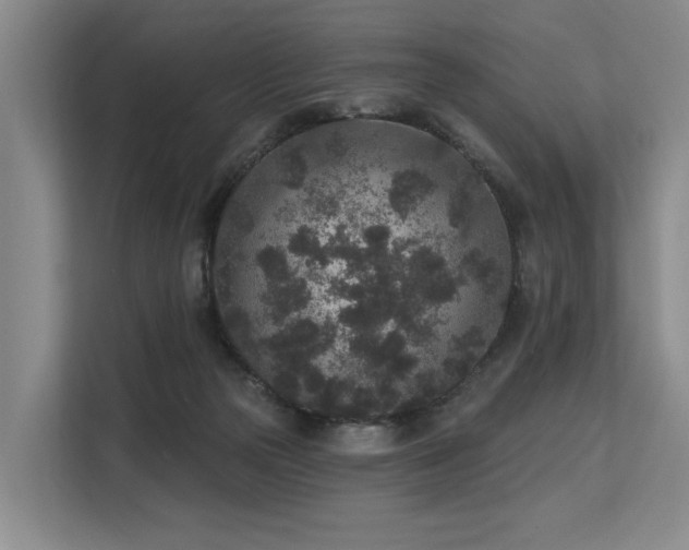 X0000113630169200909181524