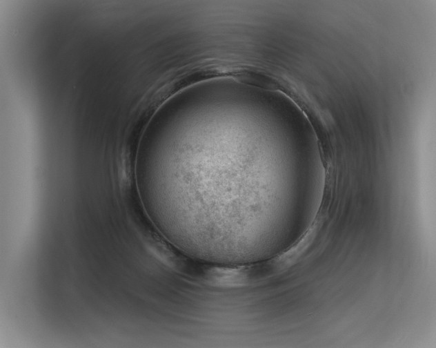 X0000113630170200909181524