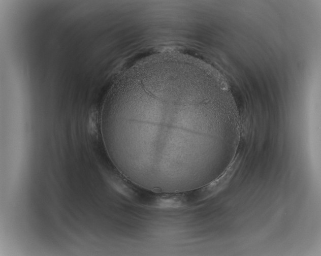 X0000113630175200909181524