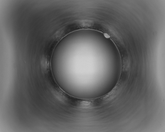 X0000113630176200909181524