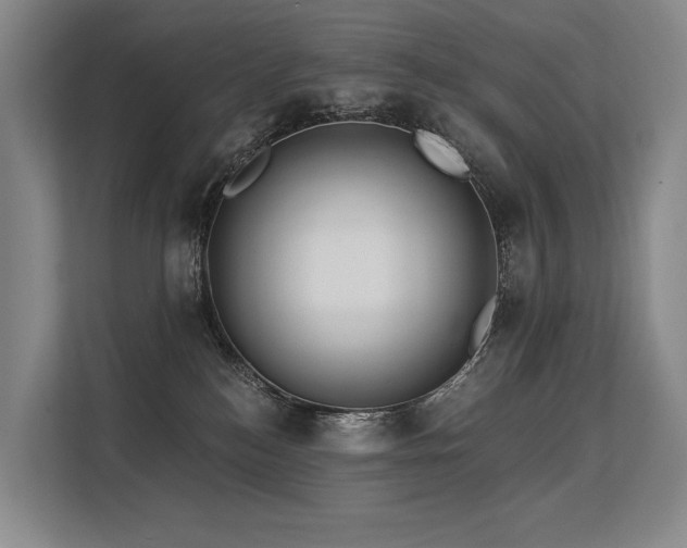 X0000113630184200909181524