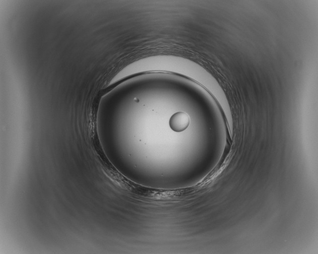 X0000113630186200909181524
