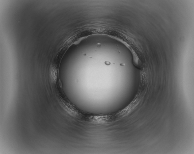 X0000113630188200909181524