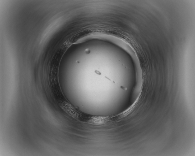 X0000113630190200909181524