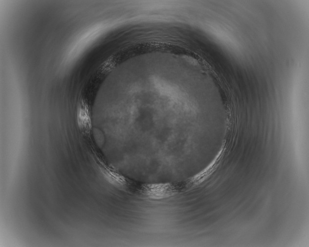 X0000113630191200909181524