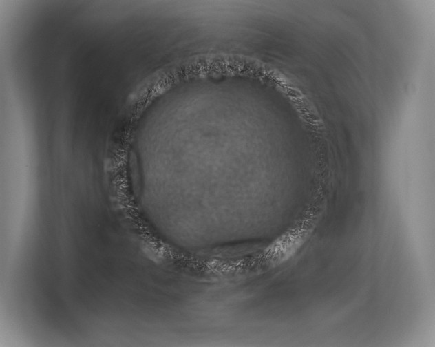 X0000113630192200909181524