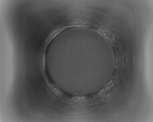 X0000113630194200909181523