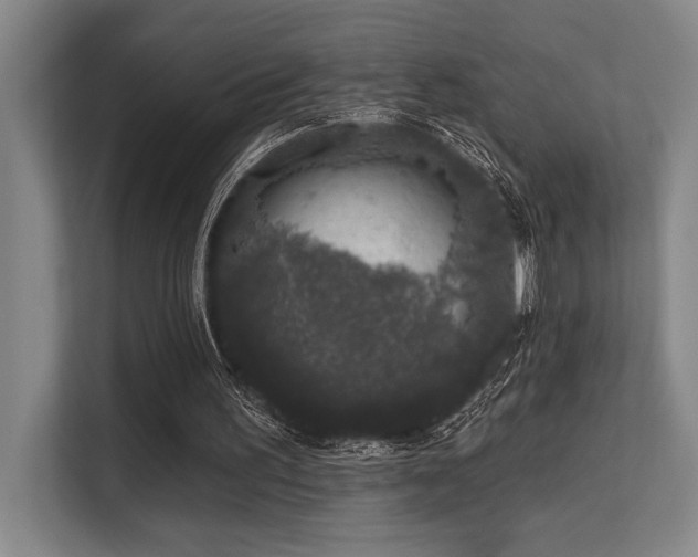 X0000113630195200909181523