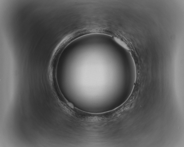 X0000113630197200909181523