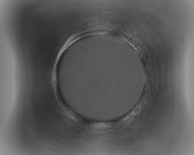X0000113630198200909181523